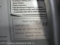 2x verrijdbare dubbele frituur profinox, 4017.600 - afbeelding 7 van  18