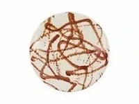 2x vloerkleed oyoy, lion rug, caramel - afbeelding 1 van  1