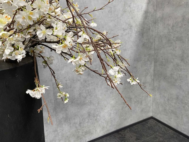 2x xxl kunstbloemen met pot - kersenbloesem - afbeelding 9 van  18