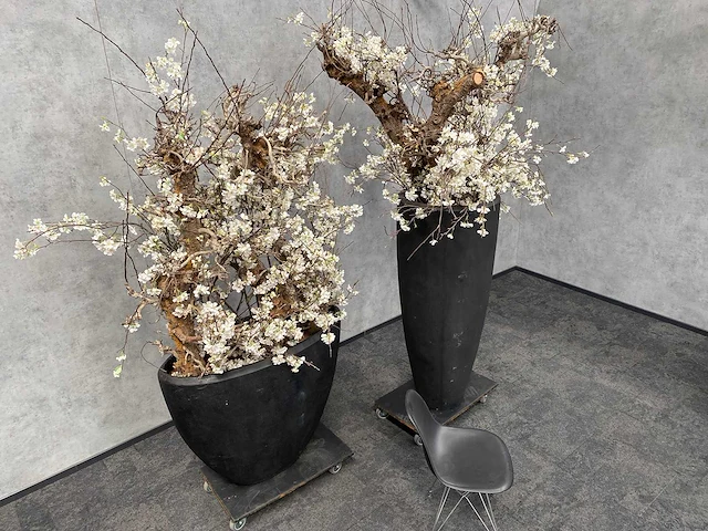 2x xxl kunstbloemen met pot - kersenbloesem - afbeelding 1 van  18