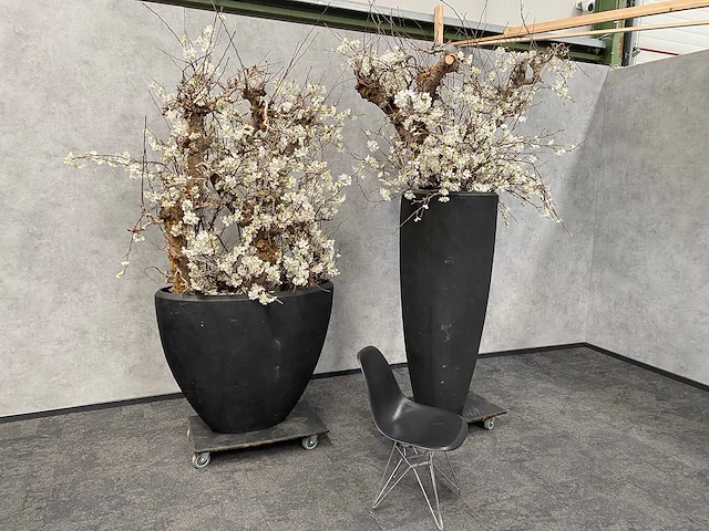 2x xxl kunstbloemen met pot - kersenbloesem - afbeelding 13 van  18