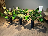 3 vazen met kunsttakken - afbeelding 4 van  8