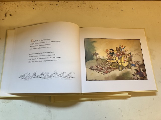 3 x boek zomerfeest - afbeelding 4 van  7