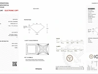 3.02 ct natuurlijk diamant ( igi gecertificeerd ), natuurlijke fancy yellowish green - afbeelding 3 van  11