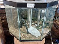 3x aquarium met toebehoren, o.a. marina - afbeelding 3 van  7