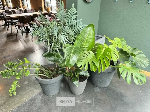 3x decoratie strijkbout - afbeelding 1 van  1