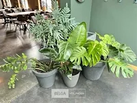 3x decoratie strijkbout - afbeelding 1 van  1