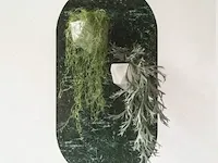 3x magneet sticker groovy magnets, marble green - afbeelding 1 van  3