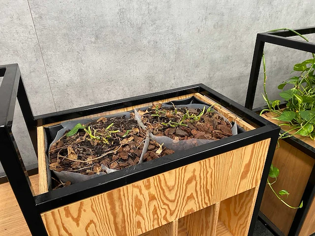 3x roomdivider met planten - afbeelding 5 van  10