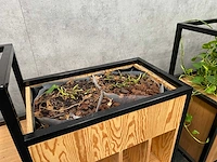 3x roomdivider met planten - afbeelding 5 van  10