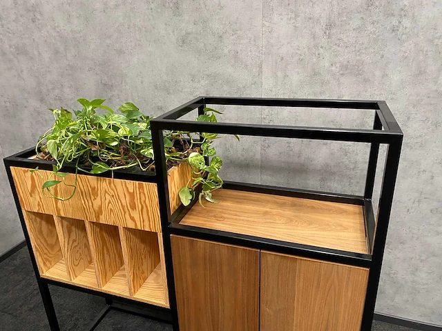 3x roomdivider met planten - afbeelding 7 van  10