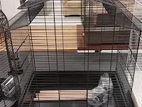 3x vogelkooi - afbeelding 3 van  4
