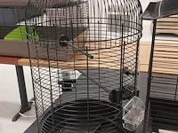 3x vogelkooi - afbeelding 4 van  4