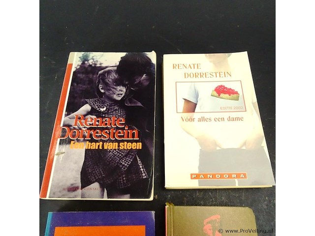 4 boeken renate dorrestein - afbeelding 2 van  5