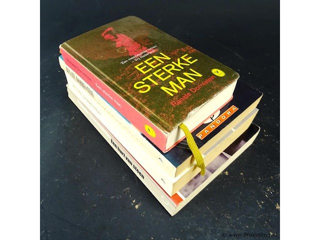 4 boeken renate dorrestein - afbeelding 4 van  5