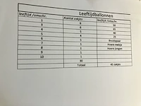 45 zakjes met leeftijsballonnen lijst als foto bijgevoegd - afbeelding 3 van  11