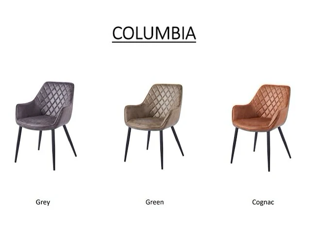 4x eetkamerstoel columbia , cognac, 2024 - afbeelding 1 van  2