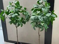 4x kunstplant in pot - afbeelding 4 van  6