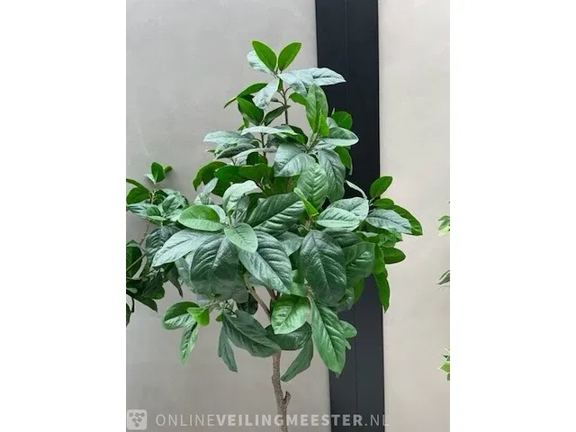 4x kunstplant in pot - afbeelding 5 van  6