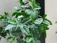 4x kunstplant in pot - afbeelding 5 van  6