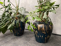 4x plant met pot - hydro cultuur - afbeelding 6 van  10