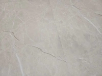 50 m2 pvc spc click tegel - 610 x 305 x 5 mm - afbeelding 1 van  3