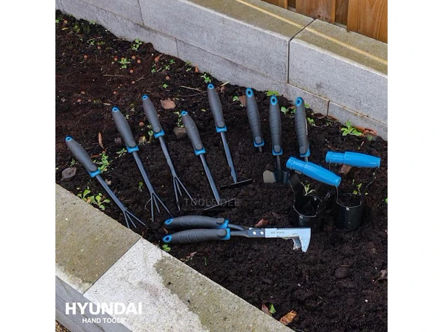 500x hyundai tuingereedschap - afbeelding 2 van  2