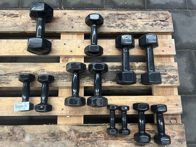 5x dumbbell set 2x 1kg, 2x 3kg, 2x 3kg, 2x 6kg, 2x 7kg, 1x los 5 kg, 1x los 10kg active panther - afbeelding 1 van  6