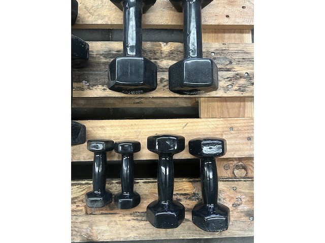 5x dumbbell set 2x 1kg, 2x 3kg, 2x 3kg, 2x 6kg, 2x 7kg, 1x los 5 kg, 1x los 10kg active panther - afbeelding 2 van  6