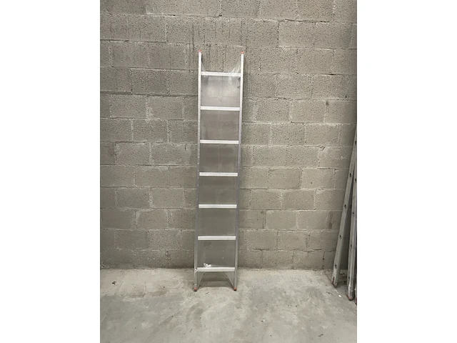 5x enkele ladder 1x7 aluminium, grijs / chroom, 2022 - afbeelding 1 van  1
