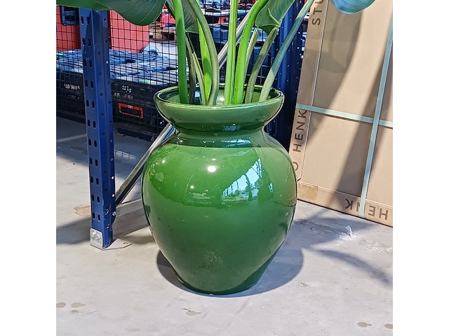 5x gekleurde vaas, des pots - afbeelding 3 van  11