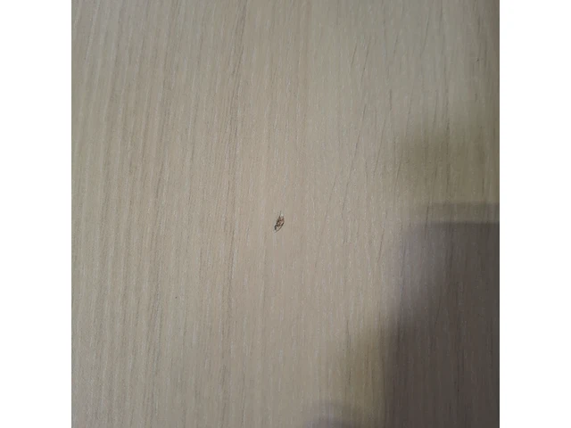 5x kantinetafel, drenthea - afbeelding 5 van  7