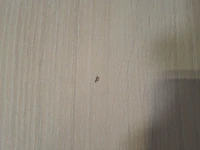 5x kantinetafel, drenthea - afbeelding 5 van  7