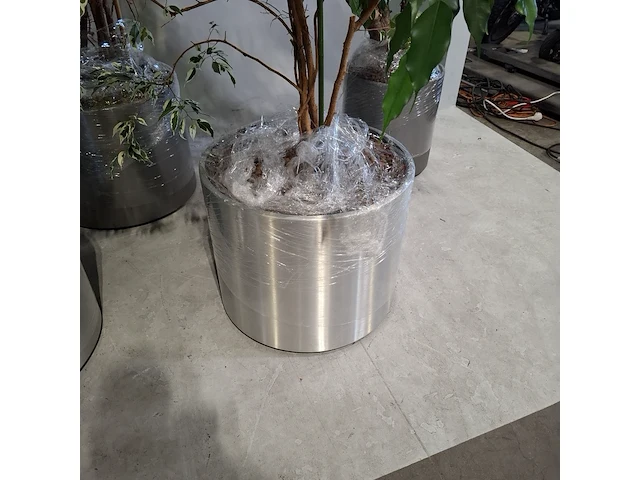 5x plant in pot - afbeelding 4 van  11