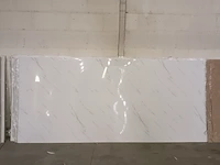 5x pvc wandpaneel 280x122 cm, sanderz, 2025 - afbeelding 1 van  4
