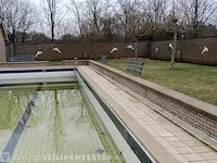 5x rugleuning - afbeelding 6 van  6