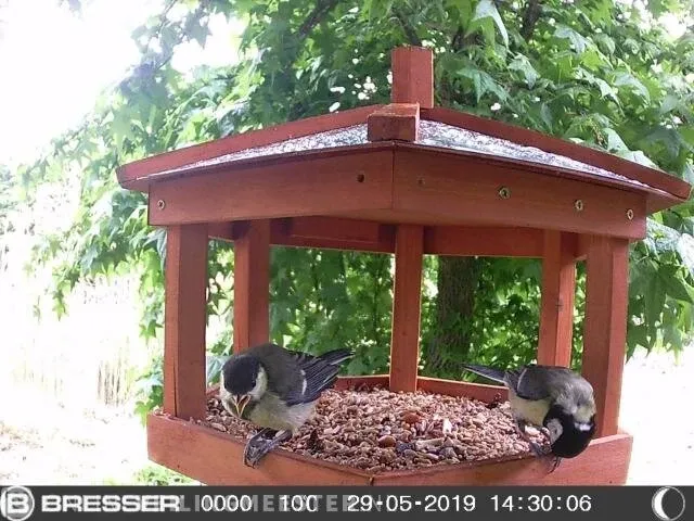 5x vogel, wild en observatiecamera bresser sfc/hgv-1 - afbeelding 7 van  8