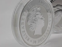 5x zilveren munt elizabeth ii, australian kookaburra - afbeelding 14 van  14