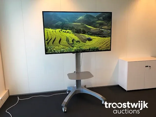 65" color display met verrijdbaar statief - afbeelding 1 van  12