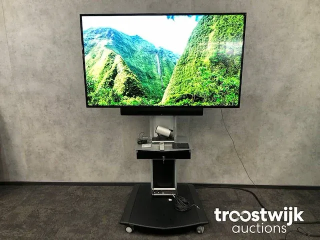 65" videoconferentie systeem + verrijdbaar statief - afbeelding 1 van  23