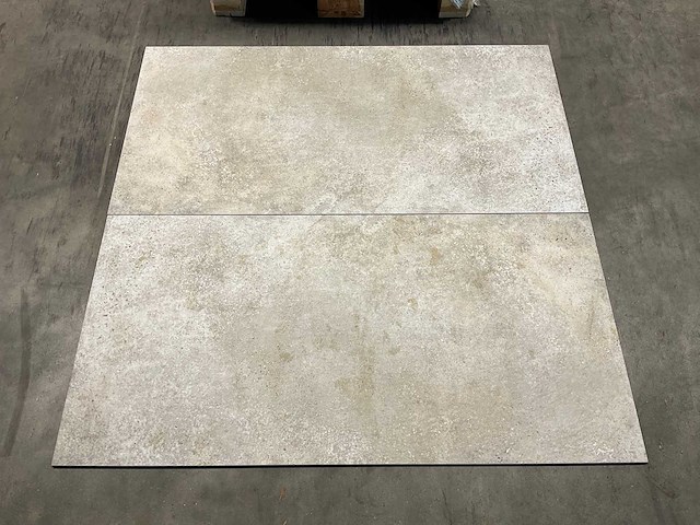 69,1m² iris ceramica - wand- en vloertegel - 120x60 cm - greige - afbeelding 3 van  8