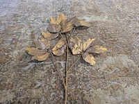 6x decoratie tak - afbeelding 5 van  6