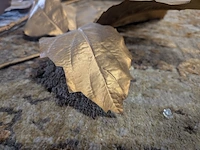 6x decoratie tak - afbeelding 6 van  6