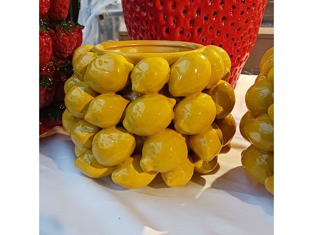 6x fruit decoratie, des pots en van roon - afbeelding 2 van  15