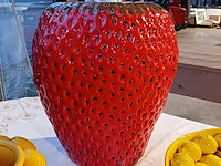 6x fruit decoratie, des pots en van roon - afbeelding 12 van  15