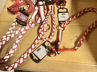 6x hondenriempjes assorti - afbeelding 3 van  3