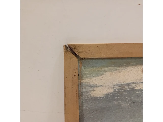 6x schilderij, w. warmer - afbeelding 13 van  15