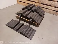 6x slangenbrug - afbeelding 1 van  4