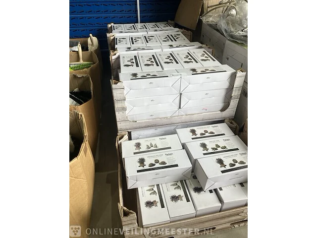 7x dozen decoratie potvoetjes parlane - afbeelding 2 van  4
