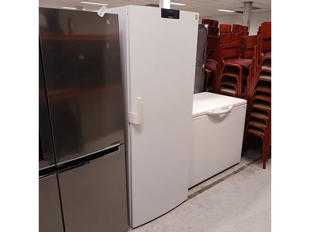 8 laden vriezer, siemens, gs40na31 - nofrost - afbeelding 1 van  8